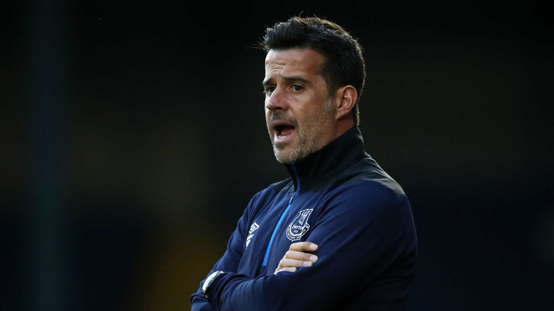 面对瓦菲 面对瓦菲